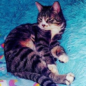 Meet your Posher, Karissa